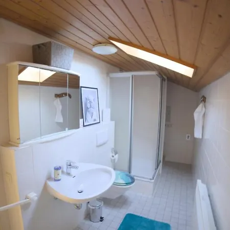 Apartmán Grosse In Zentraler Lage In Tiengen