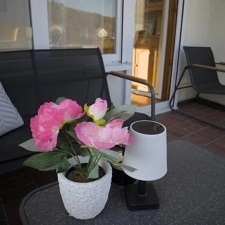 Grosse In Zentraler Lage In Tiengen Apartmán *