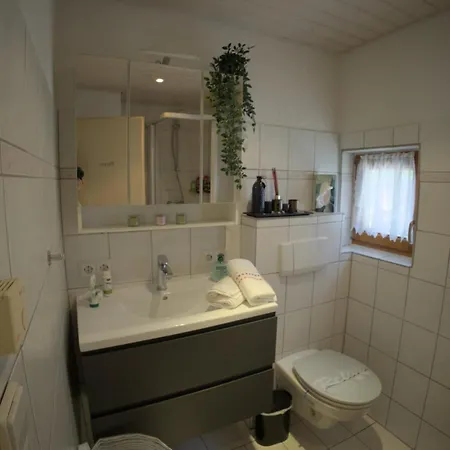 Grosse In Zentraler Lage In Tiengen *