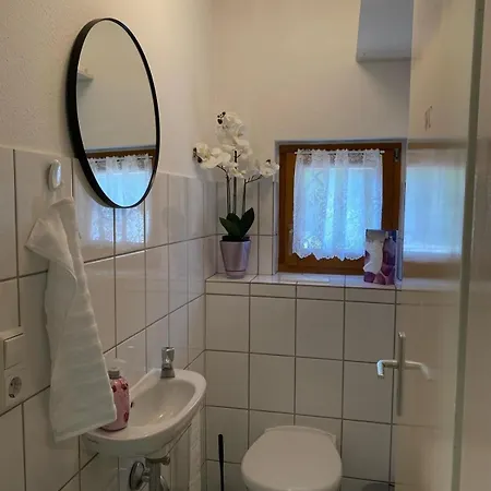 Grosse In Zentraler Lage In Tiengen Waldshut-Tiengen