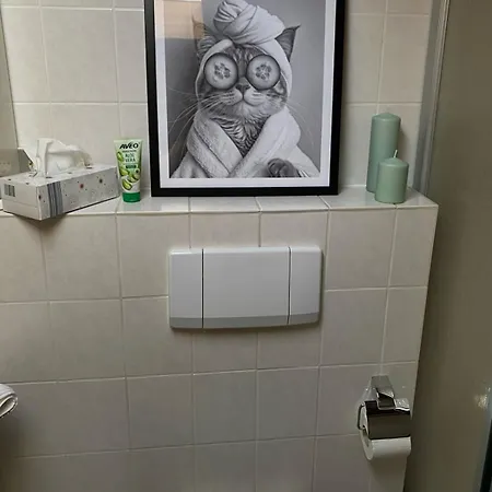 Grosse In Zentraler Lage In Tiengen * Waldshut-Tiengen