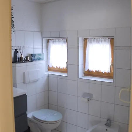 Apartmán Grosse In Zentraler Lage In Tiengen *