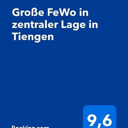 Grosse In Zentraler Lage In Tiengen Lejlighed Waldshut-Tiengen