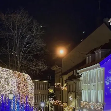 Lägenhet Grosse In Zentraler Lage In Tiengen